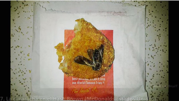 Cucaracha En Un hash Brown mcdonald's EU). Foto: Captura de pantalla