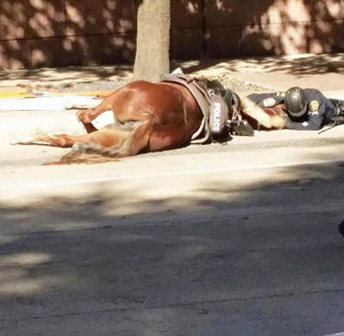 El Adiós Foto Facebook De La Policía De Huston