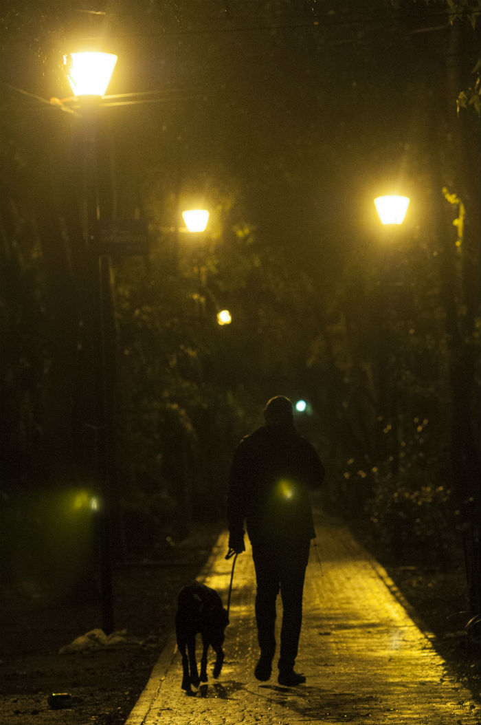 La calle de Ámsterdan, en la zona de la Condesa, es una de las que perdió la tranquilidad desde que iniciaron las ocupacions ilegales de edificios. Foto: Cuartoscuro