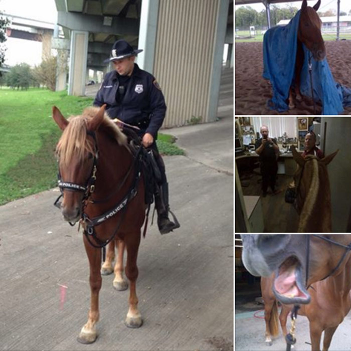 Los Días Con Charlotte Foto Facebook De La Policía De Huston