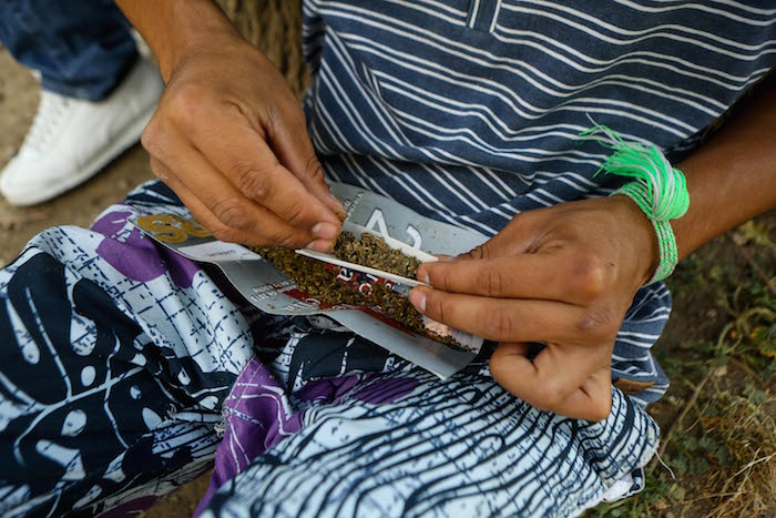 El Congreso Iniciará Con La Discusión De La Despenalización De La Mariguana Foto Foto Francisco Cañedo Sinembargo