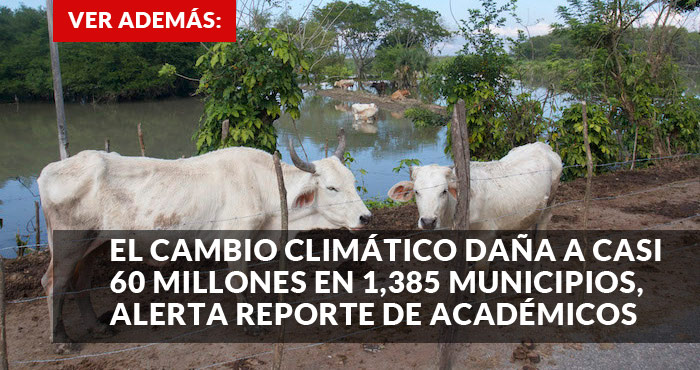 PROMO-CAMBIO-CLIMATICO