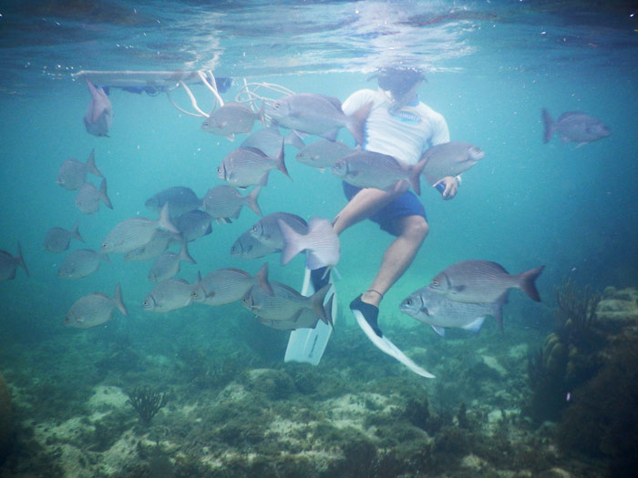 Cada año se registran en el Área Natural Protegida (ANP) Parque Marino Nacional Costa Occidental de Isla Mujeres, Punta Cancún, Punta Nizuc, alrededor de 600 mil visitantes, cifra que coloca esta área en primer lugar al recibir el mayor número de turistas. Por eso es una zona tan codiciada. Cuenta con 8 mil hectáreas y el nombre tan largo que posee se debe a que los arrecifes de coral no se localizan por todas partes y la mayoría de las unidades arrecifales se encuentran dentro de los tres polígonos que están incluidos. Al ser una de las áreas protegidas más consolidadas en su proyecto de conservación, los colaboradores de la Comisión Nacional de Áreas Naturales Protegidas (Conanp) se encargan de la operación y mantenimiento. Pero eso podría ser cosa del pasado. Foto: Cuartoscuro