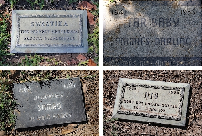 Las Fotos Pertenecen Al Cementerio Ubicado En Los Ángeles California Foto Vice