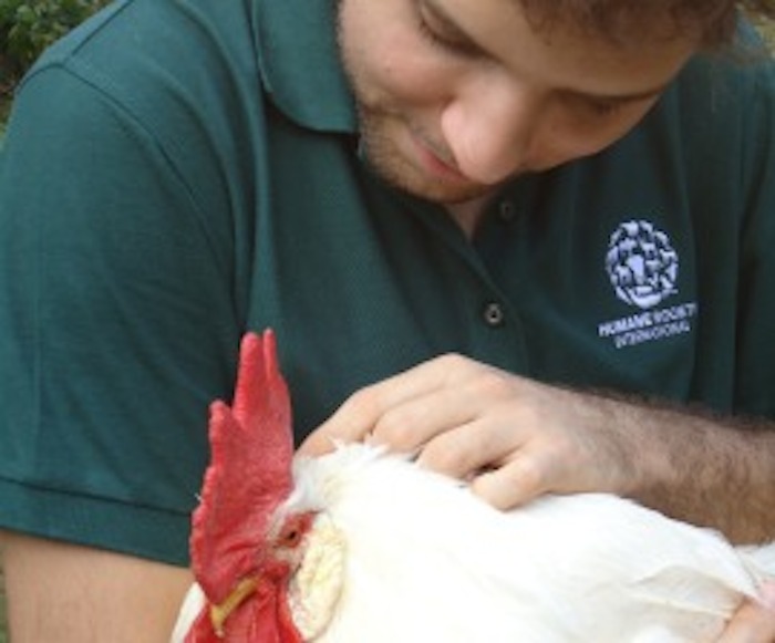 ONGs que piden un cambio en el trato a los animales. Foto: HSI