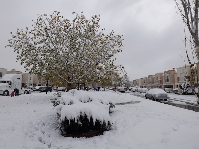 Este Fin De Semana Se Registró La Peor Nevada En Los últimos Años Lo Que Provocó El Cierre De Calles Y Puentes Además Causó El Cierre Del Aeropuerto Debido a La Acumulación De Nieve En La Pista De Aterrizaje Foto Cuartoscuro