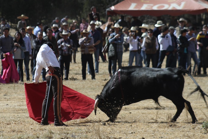 Taurinos Advierten Que Realizarán Una Corrida En Enero Próximo Foto Notimex