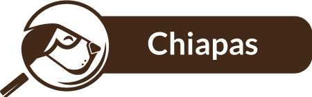 Chiapas