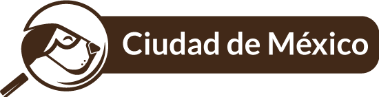 Ciudad-de-México