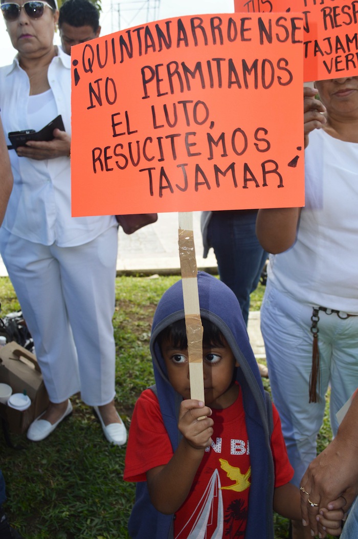 Ciudadanos Activistas Y Ongs Han Mostrado Indignación Tras La Devastación Del Manglar Foto Cuartoscuro