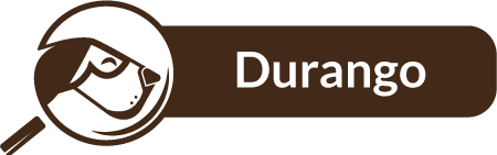 Durango