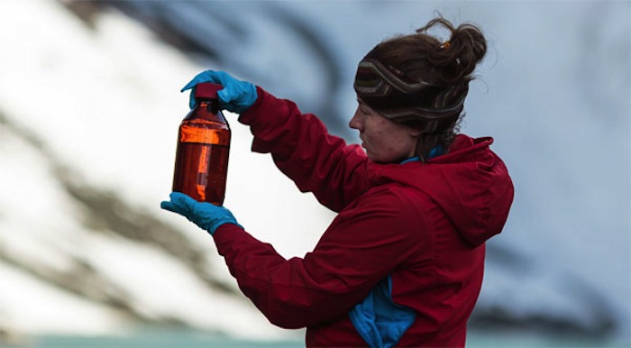 Algunas Marcas Como the North Face Y Mammut No Están Jugando Del Todo Limpio Cuando Se Trata De Respetar El Medio Ambiente Especialista Foto Greenpeace