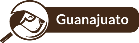 Guanajuato