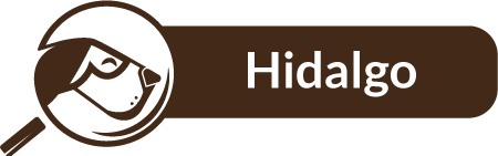 Hidalgo