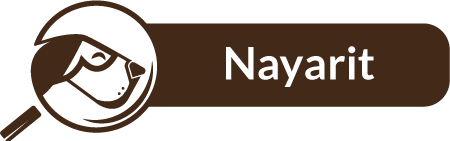 Nayarit