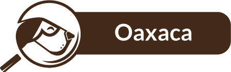 Oaxaca