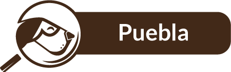 Puebla