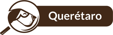 Querétaro