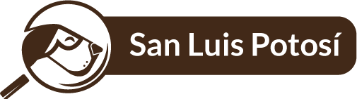 San-Luis-Potosí