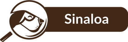 Sinaloa