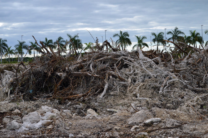 La madrugada del 16 de enero se inició con maquinaria pesada la preparación del terreno para la construcción del Proyecto Malecón Tajamar, en Cancún, Quintana Roo. Foto: Cuartoscuro.