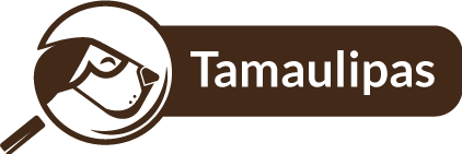 Tamaulipas