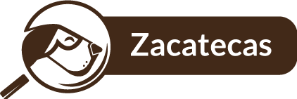 Zacatecas