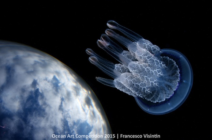 'El satélite', Forte dei Marmi (Italia). Foto: Especial.