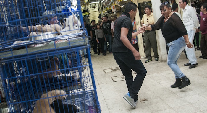 Locatarios y vecinos del Mercado de Sonora bailan en el festejo de su 57 aniversario. Foto: Cuartoscuro.