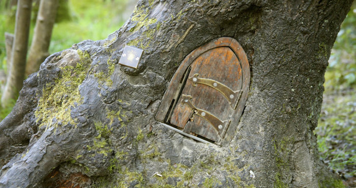 Sorpresas Que Rodean Al Sendero Que Lleva Al Puente De Los Palos De Pooh Foto Kathryn Aalto