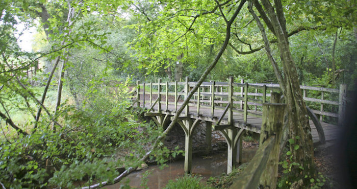 El Puente De Los Palos De Pooh Foto Kathryn Aalto