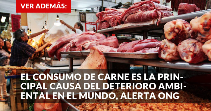 Promo Carne