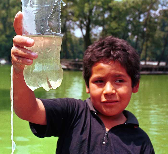 Es Común Que Los Niños pesquen En Los Lagos De Chapultepec Foto Cuartoscuro