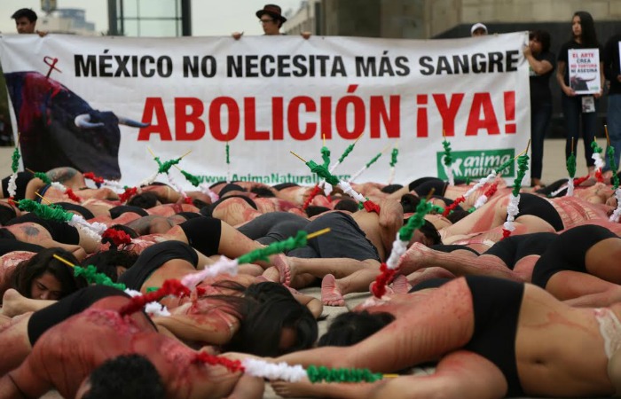 En el performance, los activistas se presentaron semidesnudos, recostados en el piso y cubiertos con maquillaje color rojo para simular sangre. Foto: Francisco Cañedo, SinEmbargo