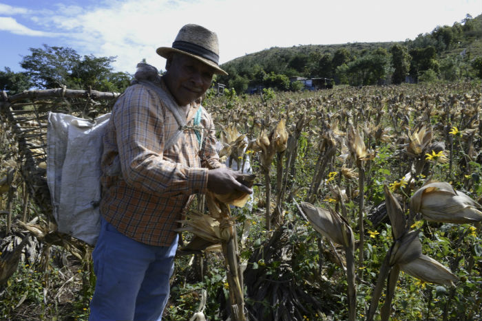 Para Organizaciones Campesinas La Crisis Alimentaria Tiene Solución En Los Pequeños Productores Nacionales Foto Cuartoscuro