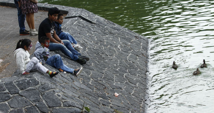 Los Peces Se Encontraron En El Lago De La Segunda Sección De Chapultepec Foto Cuartoscuro