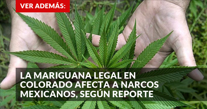 PROMO-MARIGUANA