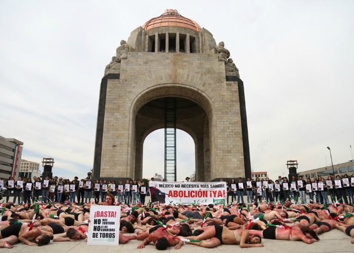 Especialistas en psicología han manifestado el riesgo que tienen las personas al presenciar este tipo de espectáculos taurinos y nos pueden generar ansiedad y estrés postraumático. Foto: Francisco Cañedo, SinEmbargo