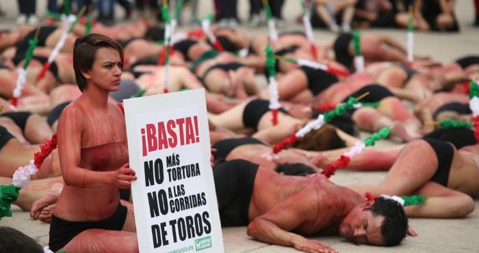 La tauromaquia en México cobra la vida de al menos 9 mil toros y 400 caballos cada año. Foto: Francisco Cañedo, SinEmbargo