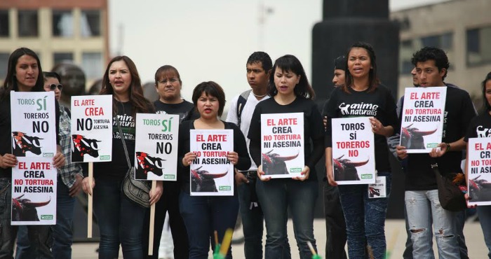 Los activistas hicieron un enérgico llamado a políticos, medios de comunicación y sociedad sobre la urgencia de abolir este “espectáculo” que fomenta la violencia. Foto: Francisco Cañedo, SinEmbargo