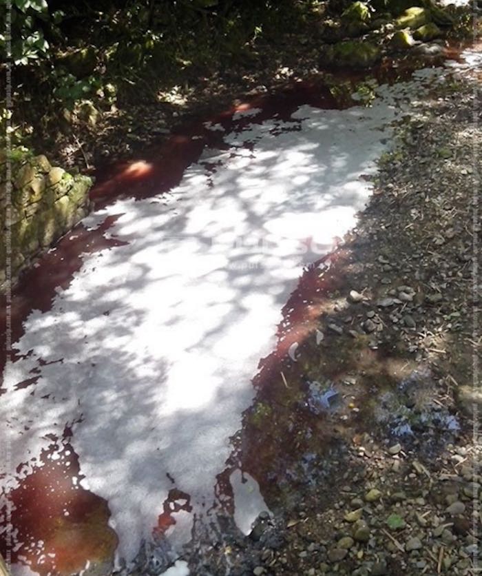 Los vecinos de ese lugar indicaron que presuntamente esto se debe a que el drenaje del Rastro Municipal desemboca en el arroyo. Foto: Pulso