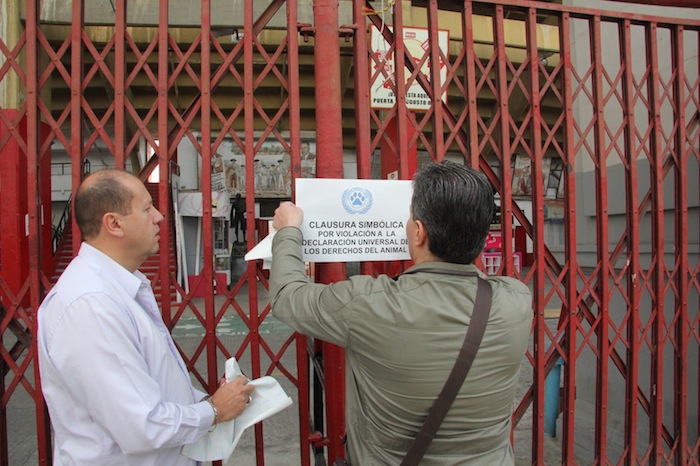 "La Plaza de Toros es un recinto de muerte": ONG. Foto: Luis Barrón.