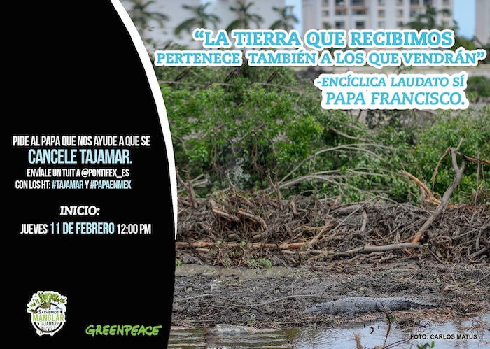 Foto: Facebook, Greenpeace México