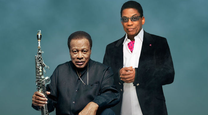 Wayne Shorter Y Herbie Hancock Dos Genios Conectados Con El Mundo Foto Facebook