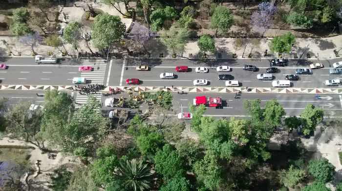 Afectaciones viales por la caída de árbol en Reforma. Foto: Vía Twitter @emperador24