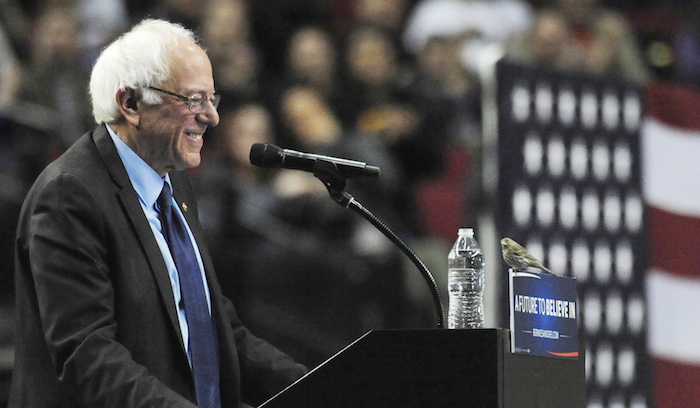 El Precandidato Presidencial Demócrata El Senador Bernie Sanders Sonríe Porque Un Pajarillo Se Posó En El Podio Cuando Pronunciaba Un Discurso Durante Un Acto De Campaña En El Centro Moda En Portland Oregon Foto Ap