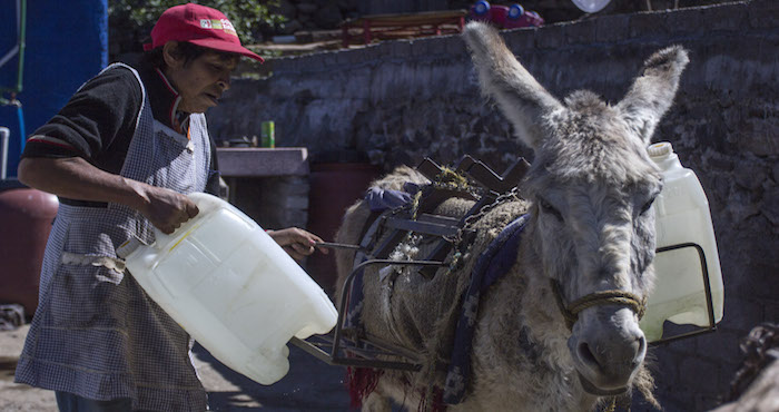 La Señora Aurelia Martínez Fue Una De Las Primeras Pobladoras De La Colonia Tecacalanco En La Delegación Xochimilco Ubicada En Los Límites Con Tulyehualco Donde Vive Desde Hace Años Mismos Que Ha Pasado Sin Acceso Al Servicio De Agua Entubada Foto Archivocuartoscuro