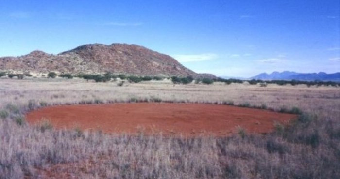 Un Círculo De Hada En Namibia Foto Especial