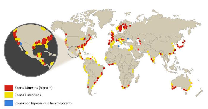 De Acuerdo Con Las Estimaciones De Greenpeace Cada Año Hay Nuevas Zonas Muertas En El Océano Como Consecuencia Del Exceso De Nutrientes Gráfico Sinembargo