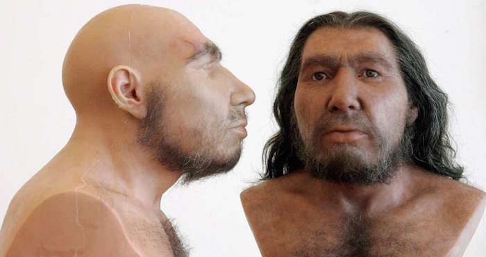 Los Estudios Publicados En Los últimos Cinco Años Establecen Que La Hibridación Entre Neandertales Y Sapiens Se Dio Al Menos En Dos Grandes Ocasiones Una Hace Unos Mil O Mil Años Foto Efe